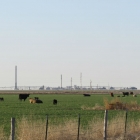 Ochiltree County_Gas Plant with Cows