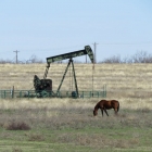 Trifecta_Dickens County_Pump Jack with Horse 1