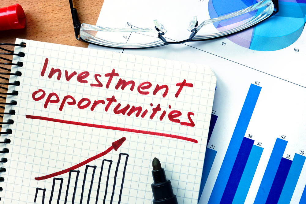 Investment Opportunities for Accredited Investors